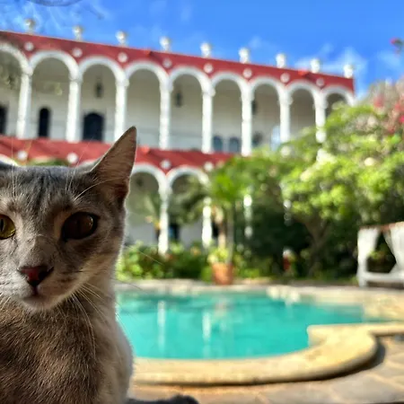 Villa Merida Luxury Mansion - Adults Only Boutique Hotel-3